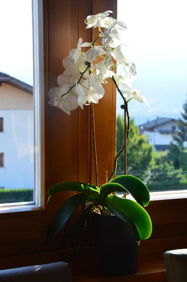 Il Nido Dei Sogni Sanzeno Appartement Buitenkant foto